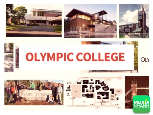 Du học Mỹ sớm tại CĐ Olympic: Nhận ngay bằng cử nhân ở tuổi 20