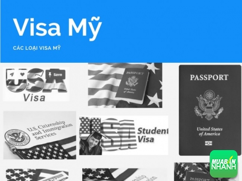 Các loại chiếu kháng VISA và luật định cư Hoa Kỳ