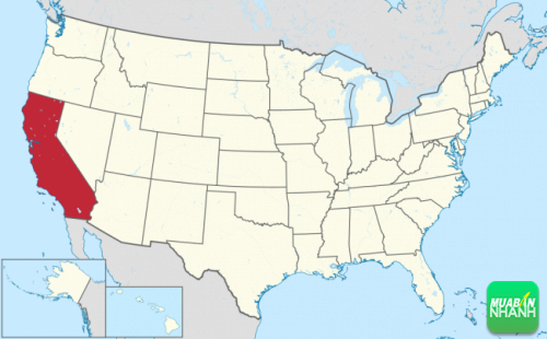 Vị trí của tiểu bang California trong Hoa Kỳ