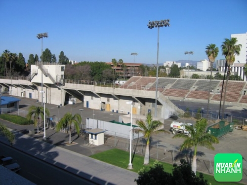 Sân vận động thành phố năm 2007