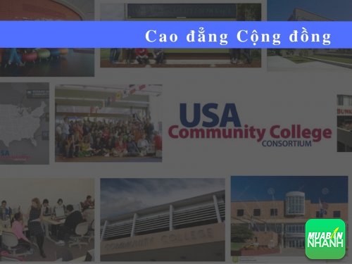 Lý do vì sao có đến 46% sinh viên Mỹ chọn học tại cao đẳng cộng đồng?, 34822, Bich Van, Dịch vụ Việt Mỹ, 14/11/2016 08:55:02