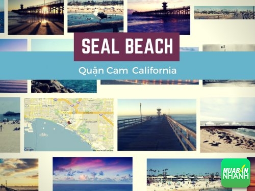 Thành phố Seal Beach, Quận Cam, California, 34998, Huyền Nguyễn, Dịch vụ Việt Mỹ, 20/12/2016 19:23:17